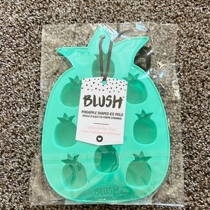 Blush, pineapple shaped Silicon ice tray new
